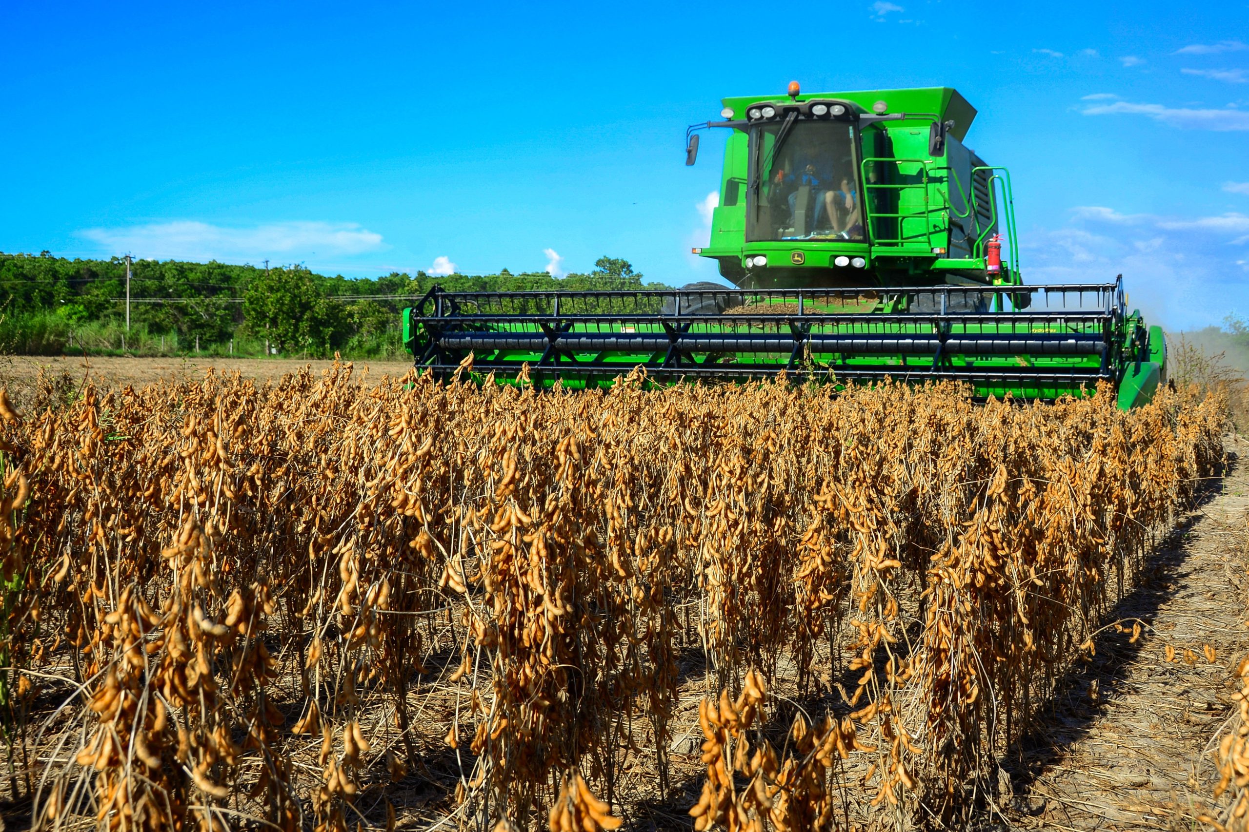 O Brasil pode viver novo boom das commodities com a guerra?