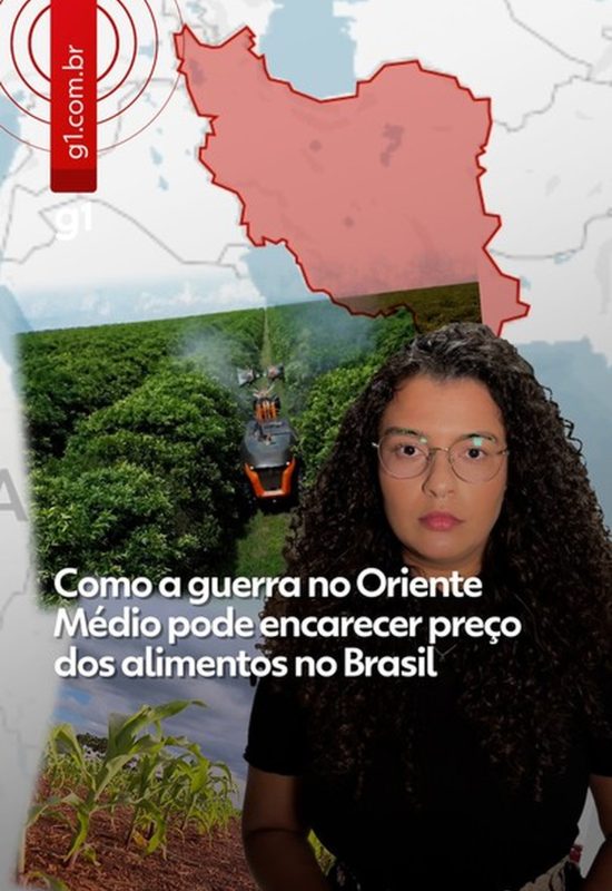 Por que a China devolveu cargas de soja do Brasil e uma grande exportadora cancelou embarques
