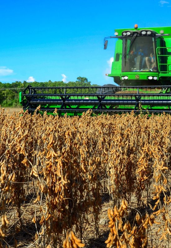 O Brasil pode viver novo boom das commodities com a guerra?